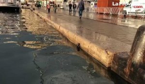 Marseille : après les fortes pluies, le Vieux-Port est sur le point de déborder