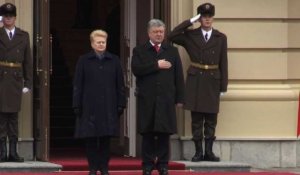 Le président ukrainien reçoit la présidente lituanienne à Kiev