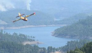 Incendies de forêt: le Portugal endeuillé lutte toujours
