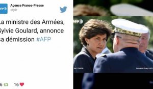 La ministre des Armées Sylvie Goulard quitte le gouvernement