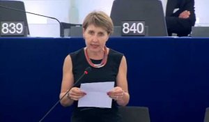 Anne Sander défend le siège de Strasbourg pour le Parlement européen
