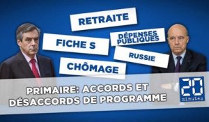 Juppé vs Fillon: Accords et désaccords de programme