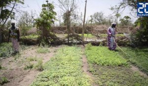 L'accaparement des terres, un nouveau problème au Sénégal