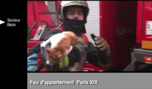 Les sapeurs-pompiers de Paris sortent un zapping de leurs interventions (extrait)
