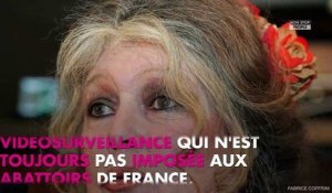 Brigitte Bardot et Rémi Gaillard dans une vidéo pour dénoncer les méthodes des abattoirs