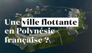 Bientôt une île artificielle et libertarienne en Polynésie française ?