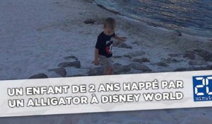 Un enfant de 2 ans happé par un alligator à Disney World en Floride