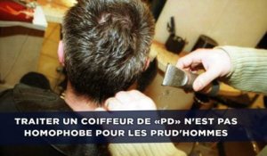 Traiter un coiffeur de «PD» n'est pas homophobe pour les prud'hommes