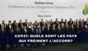 COP21: Quels sont les pays qui freinent l'accord?