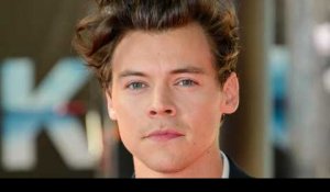 Harry Styles va produire une sitcom basée sur sa vie