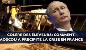 Colère des éleveurs: Comment la Russie a précipité la crise en France