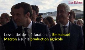 L'essentiel des déclarations d'Emmanuel Macron à Rungis sur la production agricole