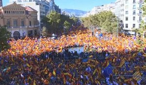 Catalogne : des centaines de milliers d'unionistes protestent contre l'indépendance