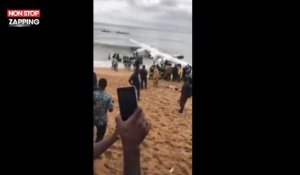 Côte d'Ivoire : Quatre Français blessés dans l'accident d'un avion-cargo (Vidéo)