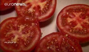 Pourquoi ne pas faire pousser des tomates dans le désert ?