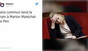 La main tendue de Sens commun à Marion Maréchal-Le Pen