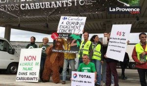 Châteauneuf-les-Martigues : action choc d'associations contre l'huile de palme