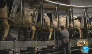 Les producteurs de lait veulent être payés au juste prix