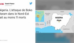 Nigeria. L'attaque de Boko Haram dans le Nord-Est fait au moins 11 morts.