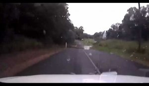 Australie : un conducteur a une mauvaise surprise sur la route (vidéo)