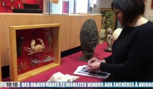 Le 18:18 - Avignon : cette incroyable vente aux enchères d'objets hors du commun