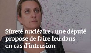 Propos polémique d'une députée LRM, qui propose de tirer « sans se poser de question » en cas d'intrusion dans une centrale nucléaire