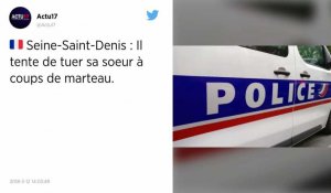 Seine-Saint-Denis. Il blesse gravement sa demi-sœur à coups de marteau.