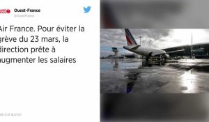 Air France. Pour éviter la grève du 23 mars, la direction prête à augmenter les salaires.