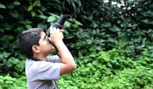 Colombie: un jeune passionné au royaume des oiseaux