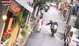 Vietnam : Deux hommes à moto volent le chien d'une passante (vidéo)