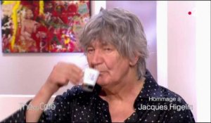 VIDEO. "Je trouve la vie très courte" : Quand Jacques Higelin se confiait sur le suicide