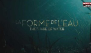 Oscars 2018 : Guillermo del Toro triomphe avec "La forme de l'eau", sacré "Meilleur film" (Vidéo)