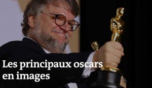 Oscars : les principales récompenses en images