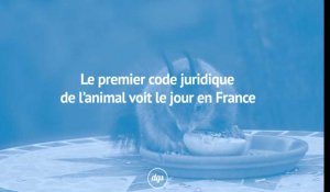 Le premier code juridique de l'animal voit le jour en France