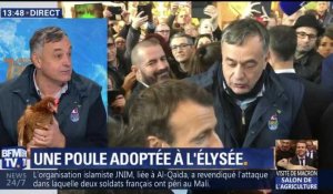 VIDEO. Et soudain, BFMTV invite la poule d'Emmanuel Macron en direct