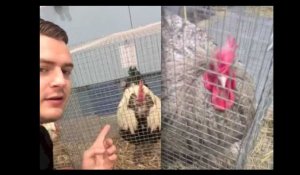 Best Of Snapchat #53 - Jeremstar et ses poules pondeuses