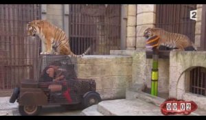 Fort Boyard : Camille Cerf paniquée par les tigres, l'amusante vidéo (Vidéo)