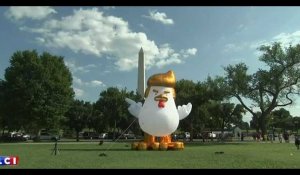 Donald Trump en poule mouillée géante devant la Maison Blanche (Vidéo)