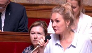 Sexisme à l'Assemblée : un élu imite une chèvre quand une députée prend la parole