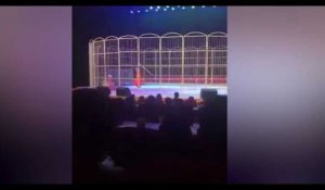 Un tigre attaque son dresseur en plein spectacle de cirque (vidéo) 