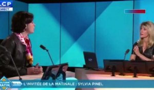 Primaire à gauche : de Sylvia Pinel à Bastien Faudot, les candidatures se multiplient