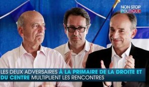 Primaire de la droite : le rapprochement d'Alain Juppé et de Jean-François Copé
