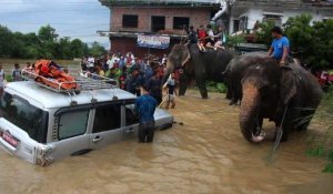 Mousson au Népal: des touristes évacués à dos d'éléphants