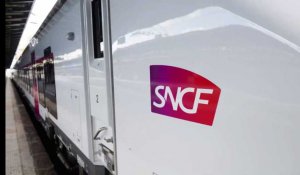 Montparnasse : après l'incident, la SNCF promet de se moderniser
