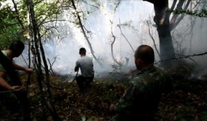 L'Albanie lutte contre les feux de forêt