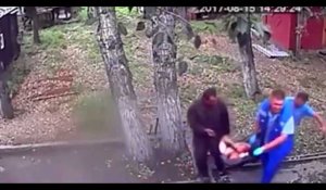 Sibérie : Ivre, il entre dans l'enclos d'un ours pour lui donner du lait et se fait mordre (vidéo)