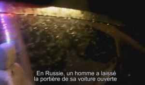 Il laisse la portière de sa voiture ouverte et il la retrouve dans un sale état (Vidéo)