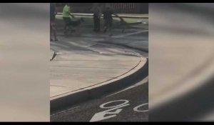 Un lynx attaque un homme en pleine rue ! (Vidéo)
