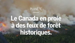 Le Canada en proie à des feux de forêt historiques