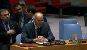 Le Conseil de sécurité de l'ONU se réunit pour discuter Idleb